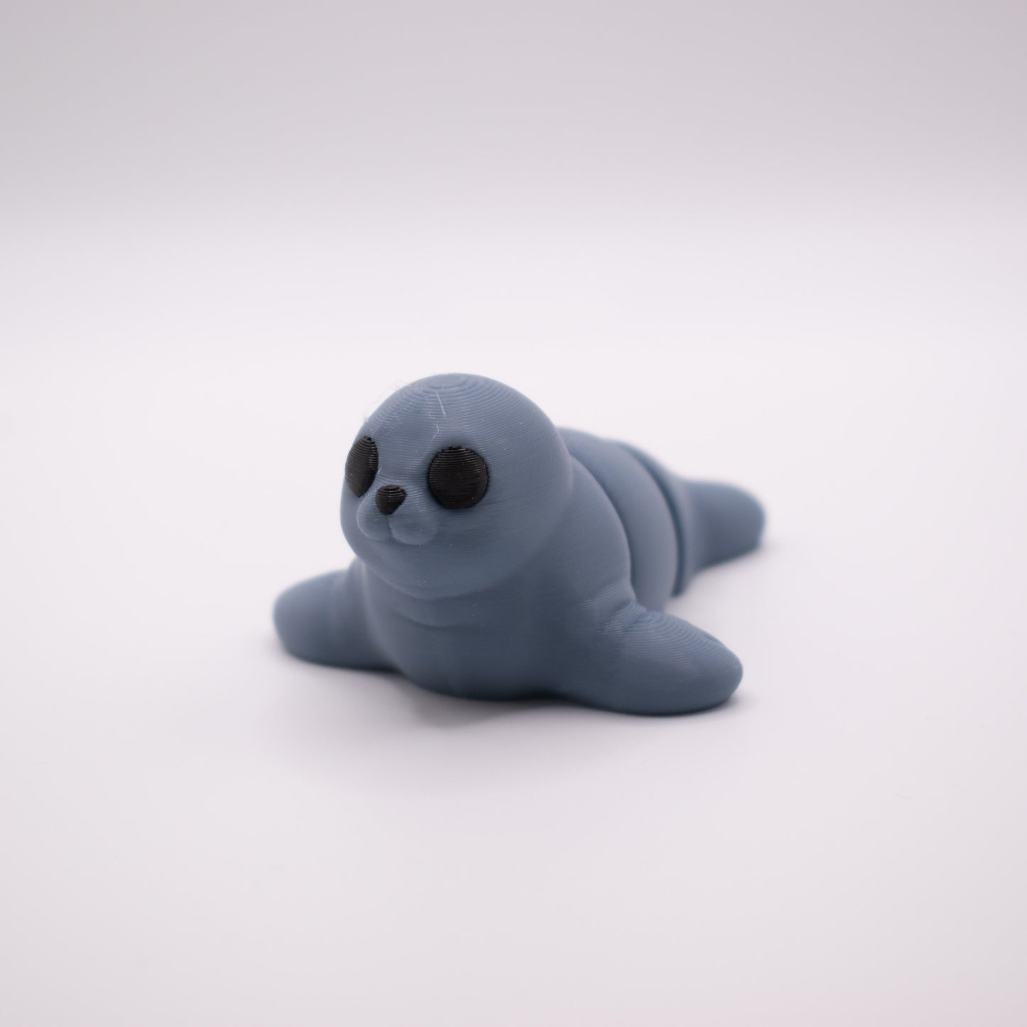 Baby Phoque